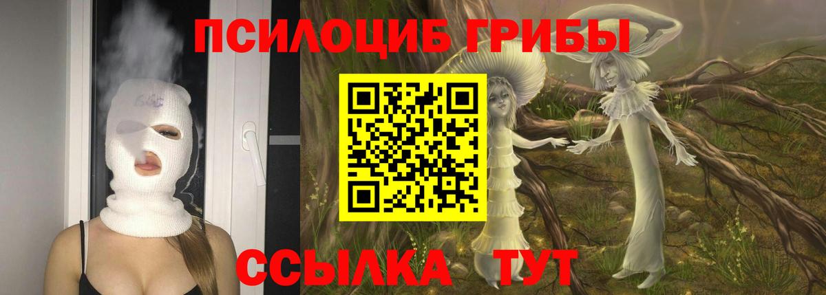 Псилоцибиновые грибы мухоморы Белгород